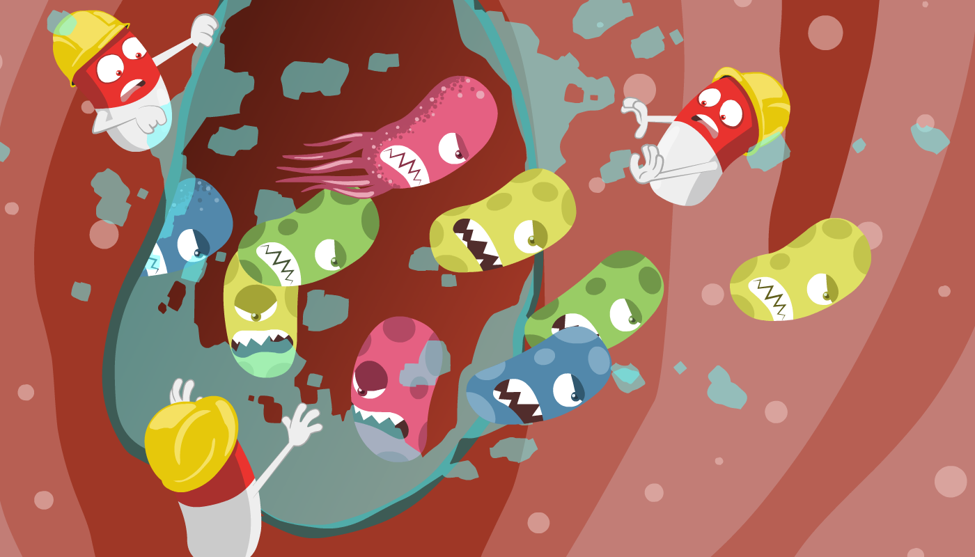 10_campanelli_03_terapia_antibiotica