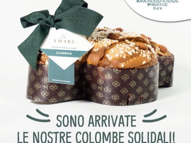 Immagine WhatsApp 2024-02-17 ore 07.45.22_c036e246