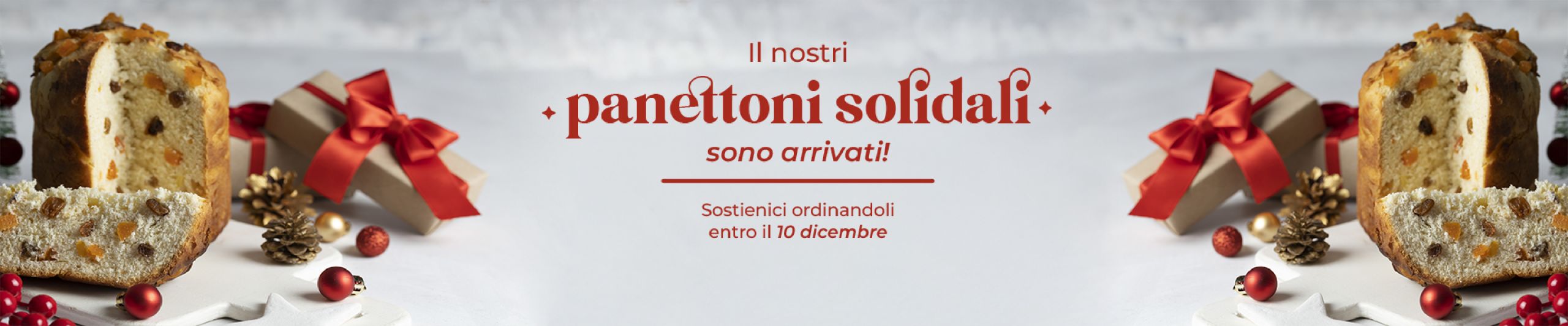 Slider-Home-Panettoni
